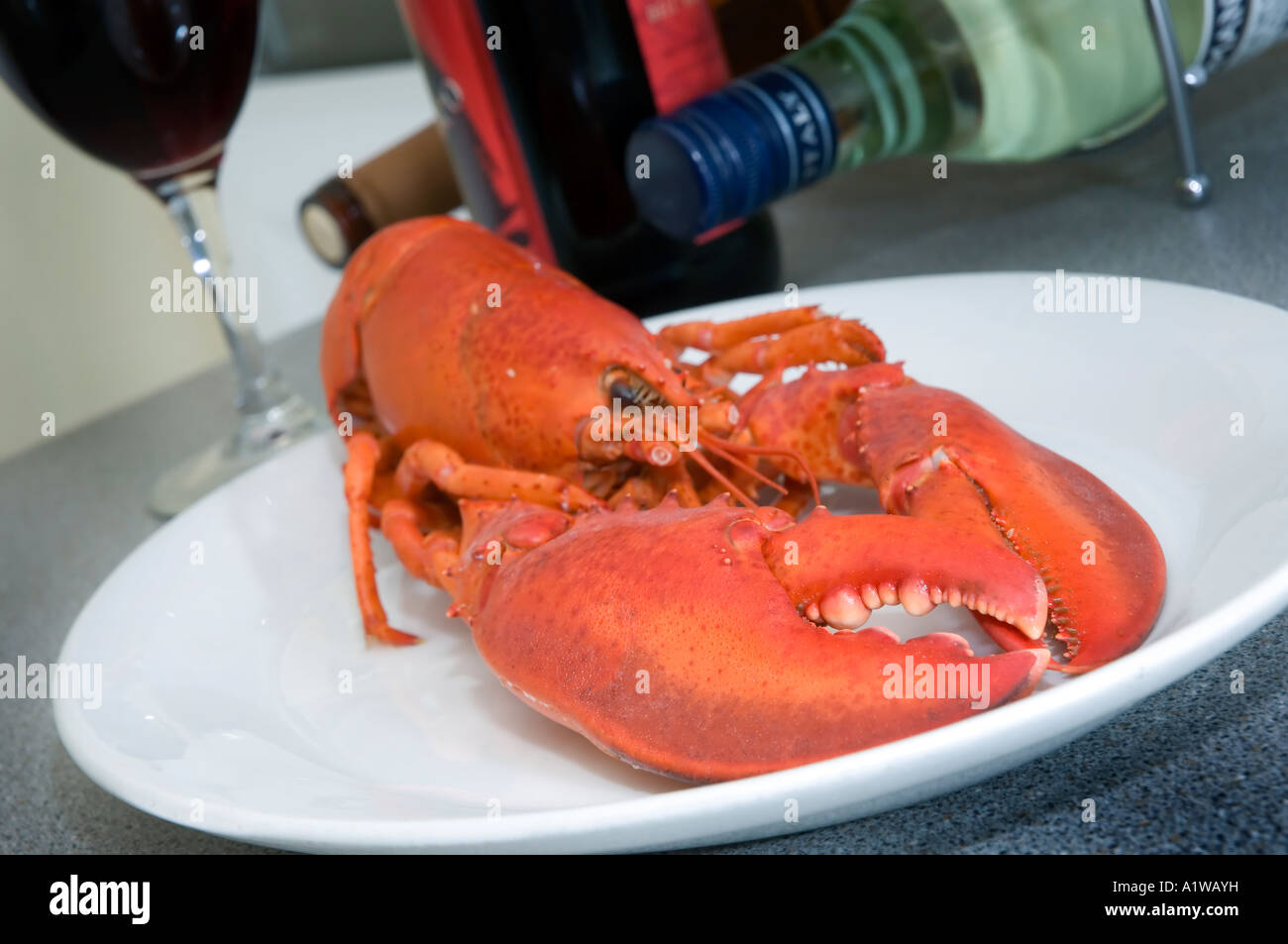 Fresh Lobster and Wine Stock Photo Alamy