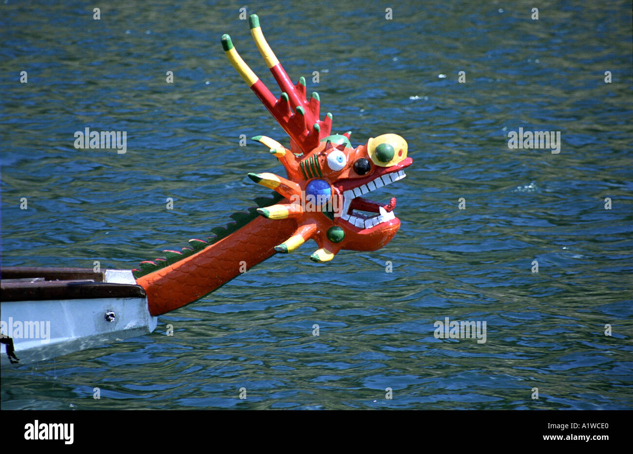 Dragon boat head from dragon boat competing in Guernsey summer regatta