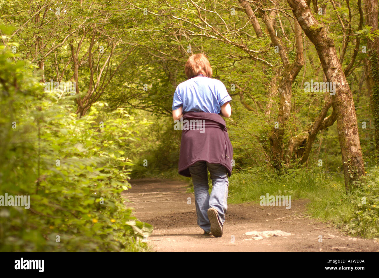 Woman walking along woodland path from behind Stock Photo - Alamy