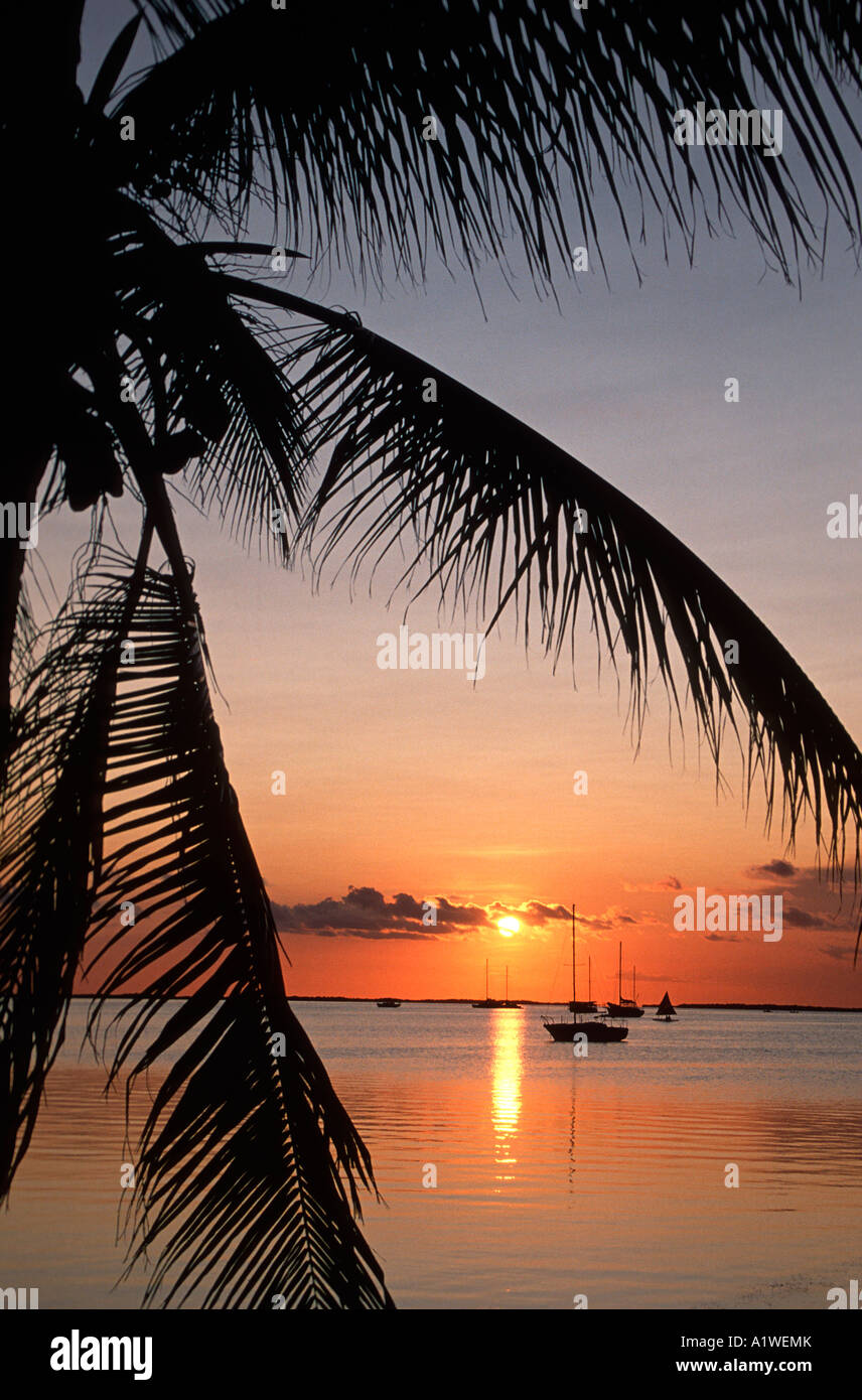 A TRANQUIL SUNSET ON FLORIDA BAY INCLUDES SAILBOATS AT MOORING AND PALM TREES KEY LARGO FLORIDA Stock Photo