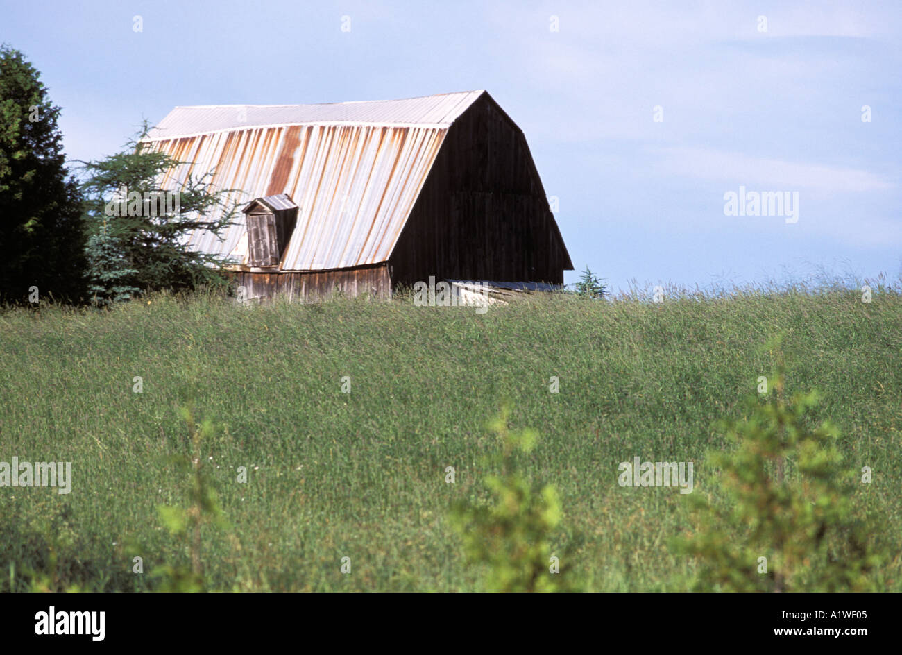 Old Post And Beam Barn With Rusty Sheet Metal Roof Behind A Field