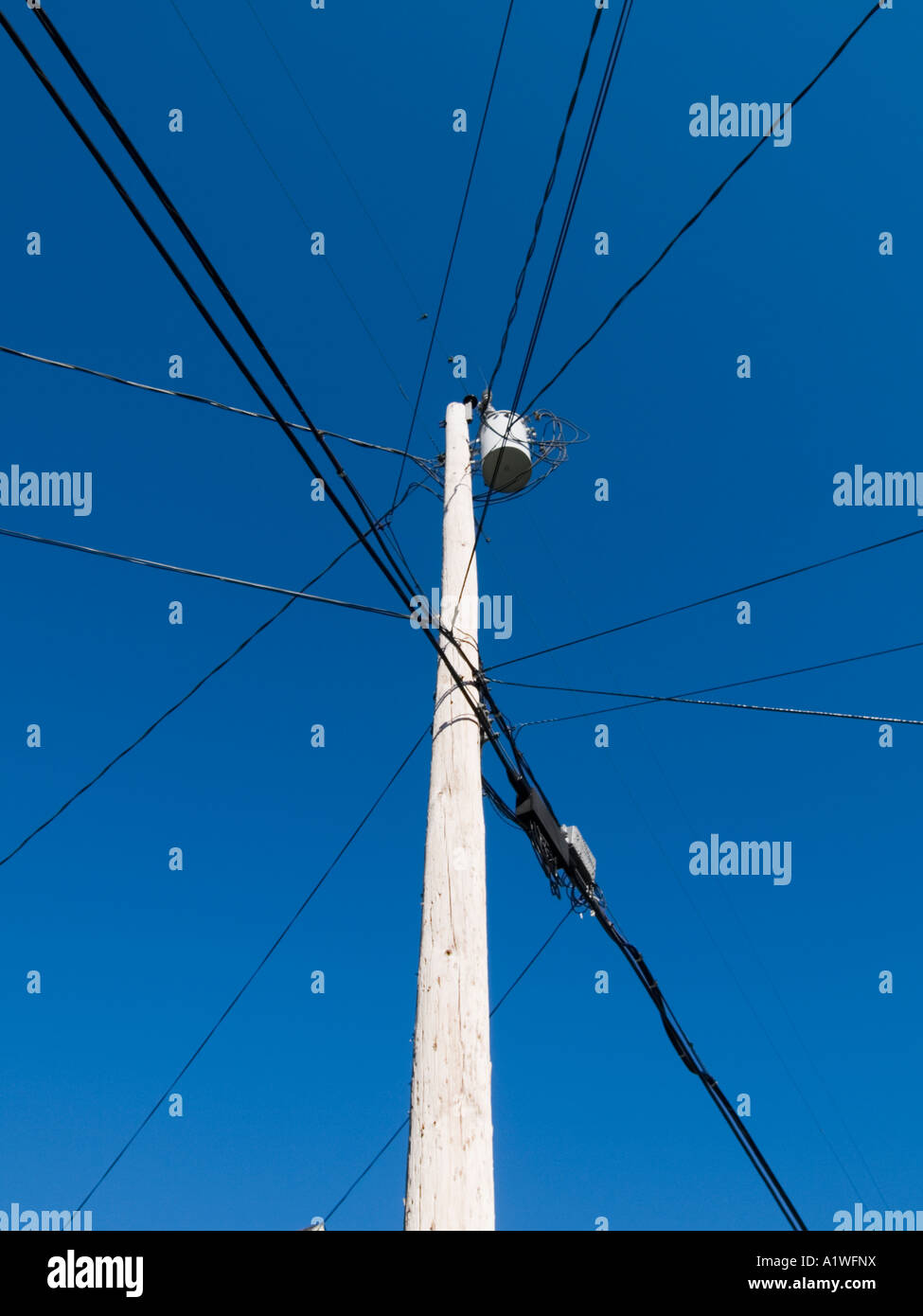 Electric power and telephone lines on utility poles Stock Photo Alamy