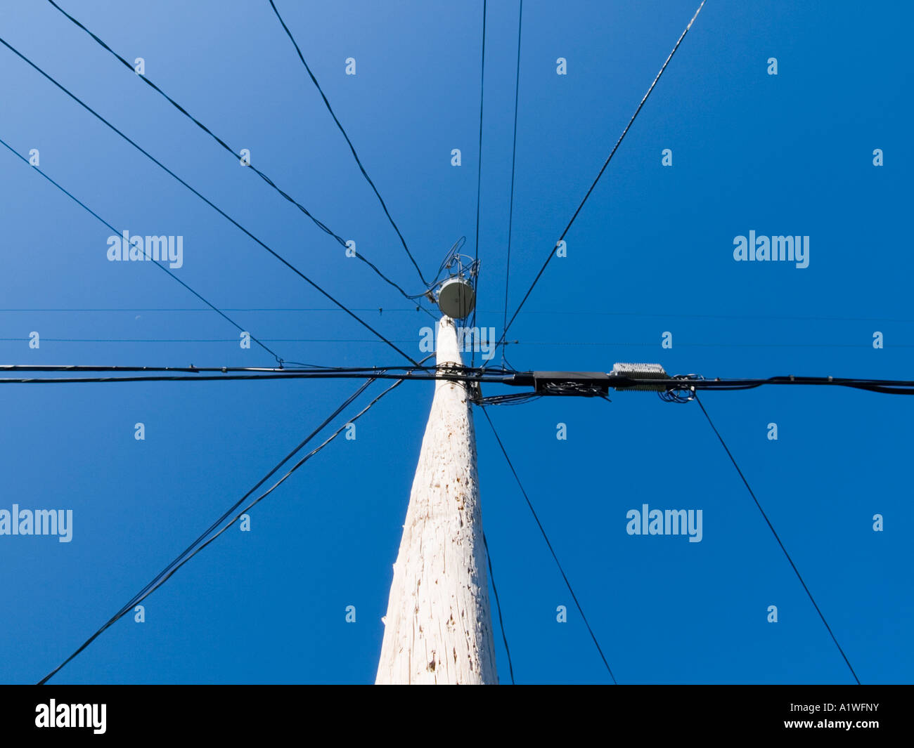 Electric power and telephone lines on utility poles Stock Photo Alamy