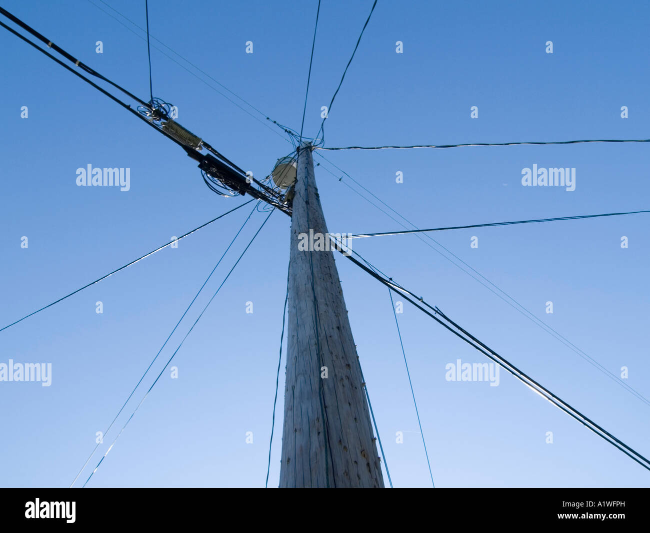 Electric power and telephone lines on utility poles Stock Photo Alamy