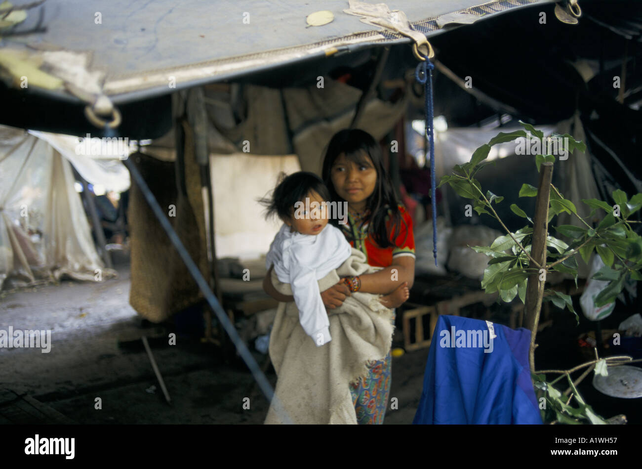 DISPLACED OCCUPY MINIISTRY OF ENVIRONMENT BOGOTA COLOMBIA 2000.Indigenous young girl holding baby. Stock Photo