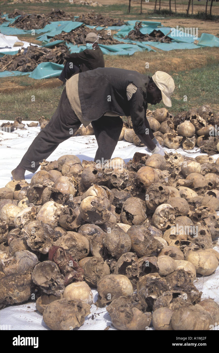 Skulla are arranged before Kaduha mass burial , after Rwanda  genocide.1995 Stock Photo
