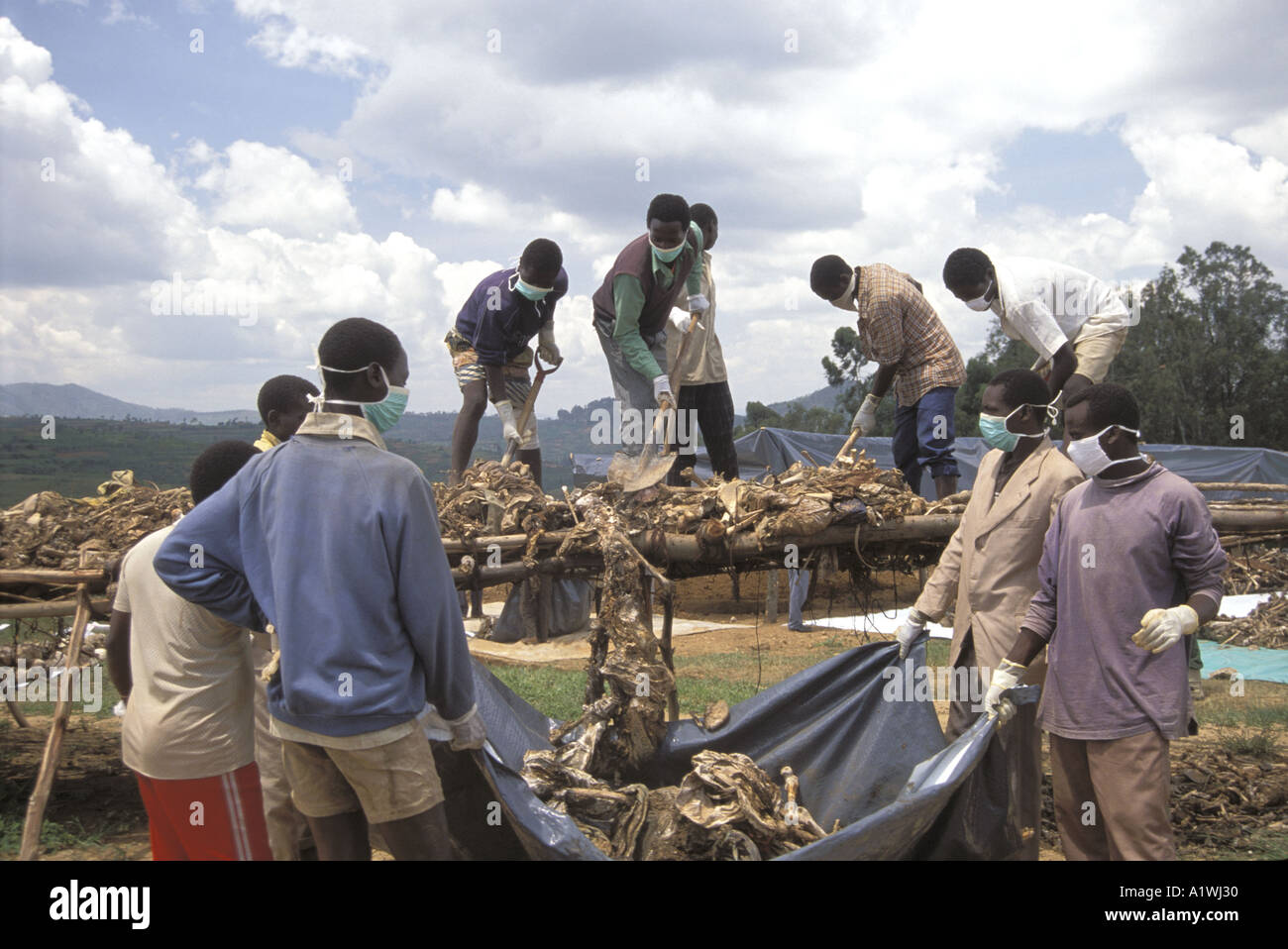 Hutu prisoners unload remains of victims for Kaduha mass burial, after Rwanda genocide 1995 Stock Photo