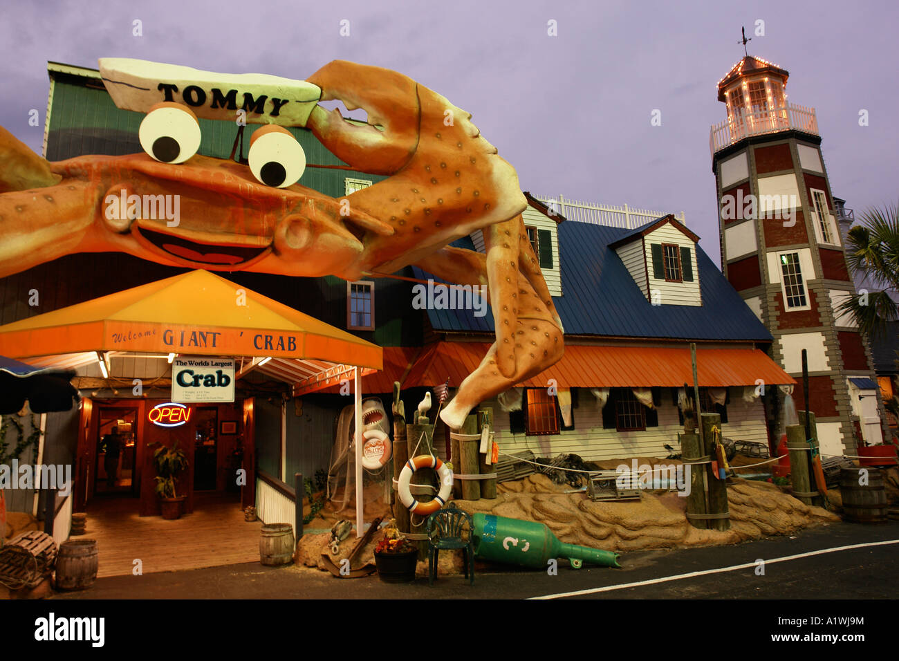 AJD54807, Myrtle Beach, SC, South Carolina, Grand Strand, Giant Crab