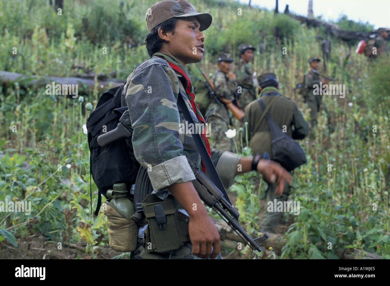Myanmar (BURMA) . SHAN STATE ARMY. GUERRILLAS ON THEIR WAY TO LOCATE AND DESTROY OPIUM FIELDS IN NORTH EAST BURMA 2001 Stock Photo