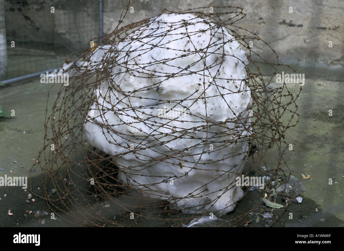 Andy Goldsworthy High Resolution Stock Photography and