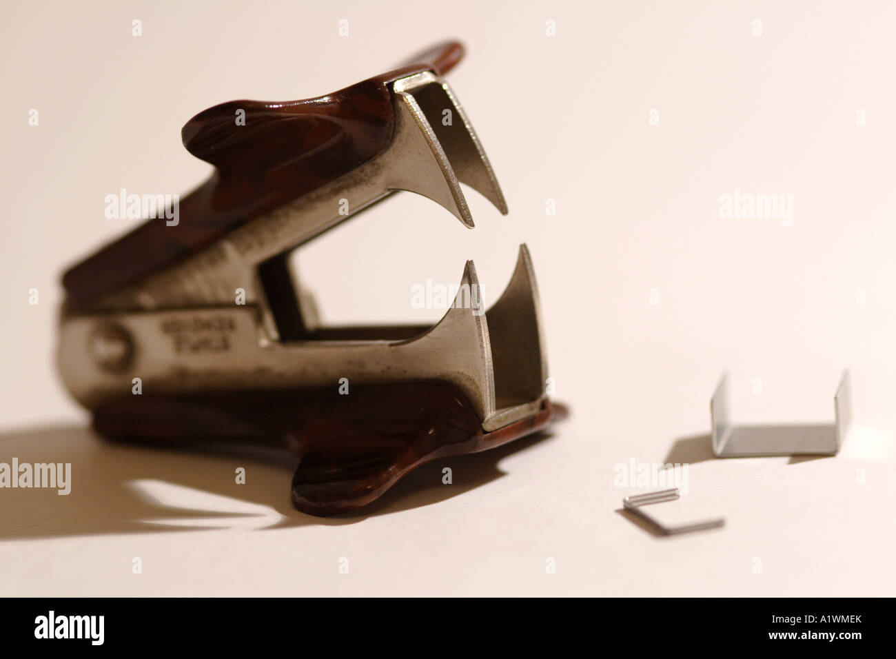 Staple remover open with staples close up Stock Photo Alamy