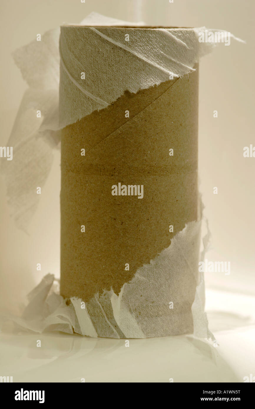 Finished toilet roll tube Stock Photo Alamy