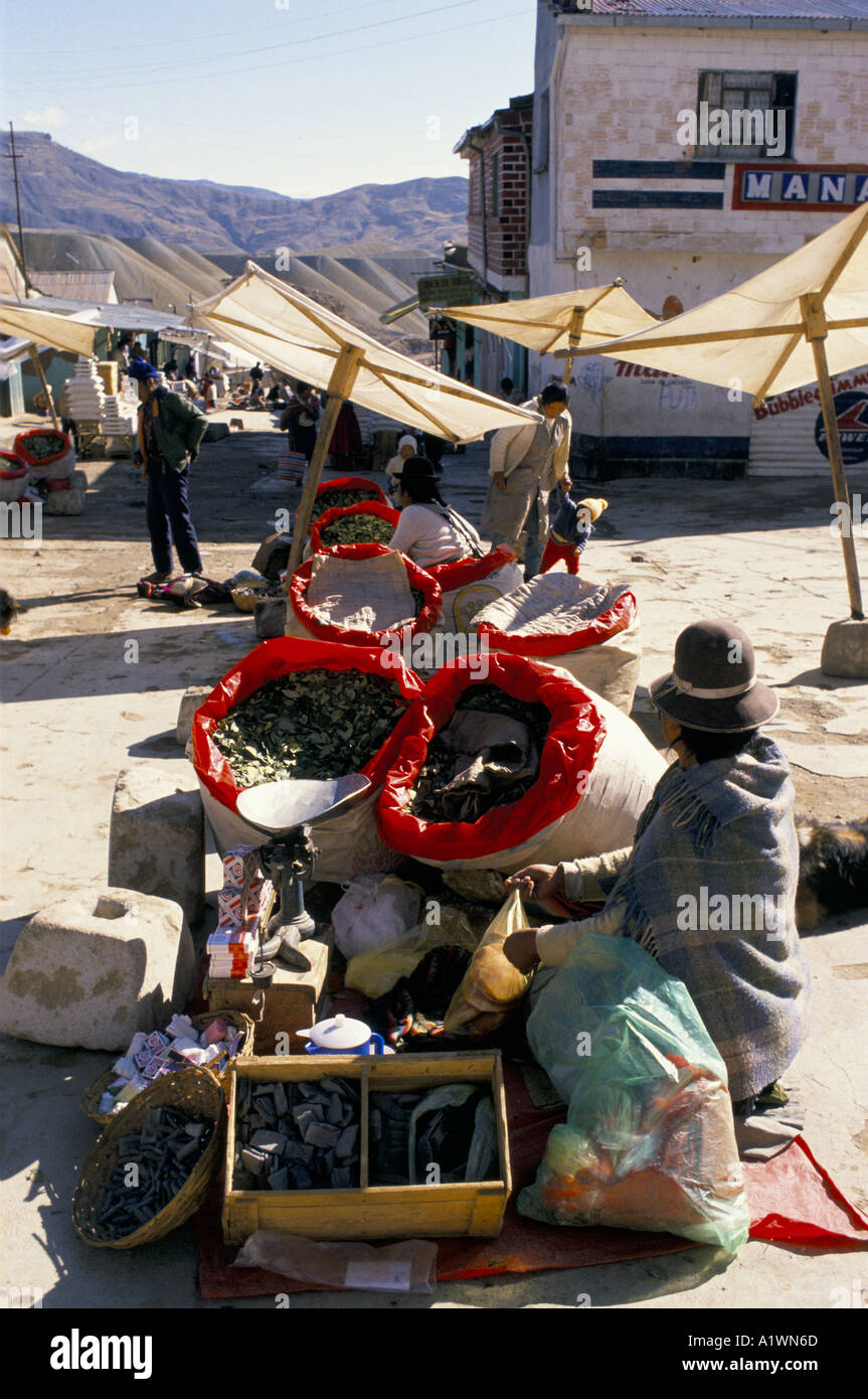 BOLIVIA.Woman in bowler hat SELLING COCA LEAVES LLALLAGUA MARKET Stock Photo