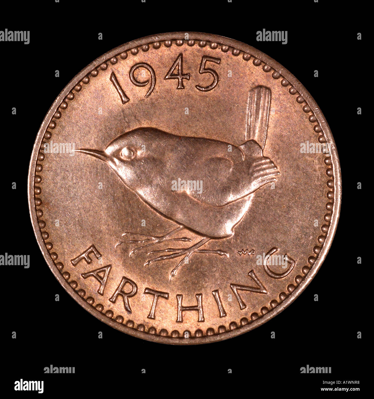 King George VI Reg fid def pre decimal quarter farthing penny old pence P 1949 copper bright robin bird left omn rex dei Stock Photo