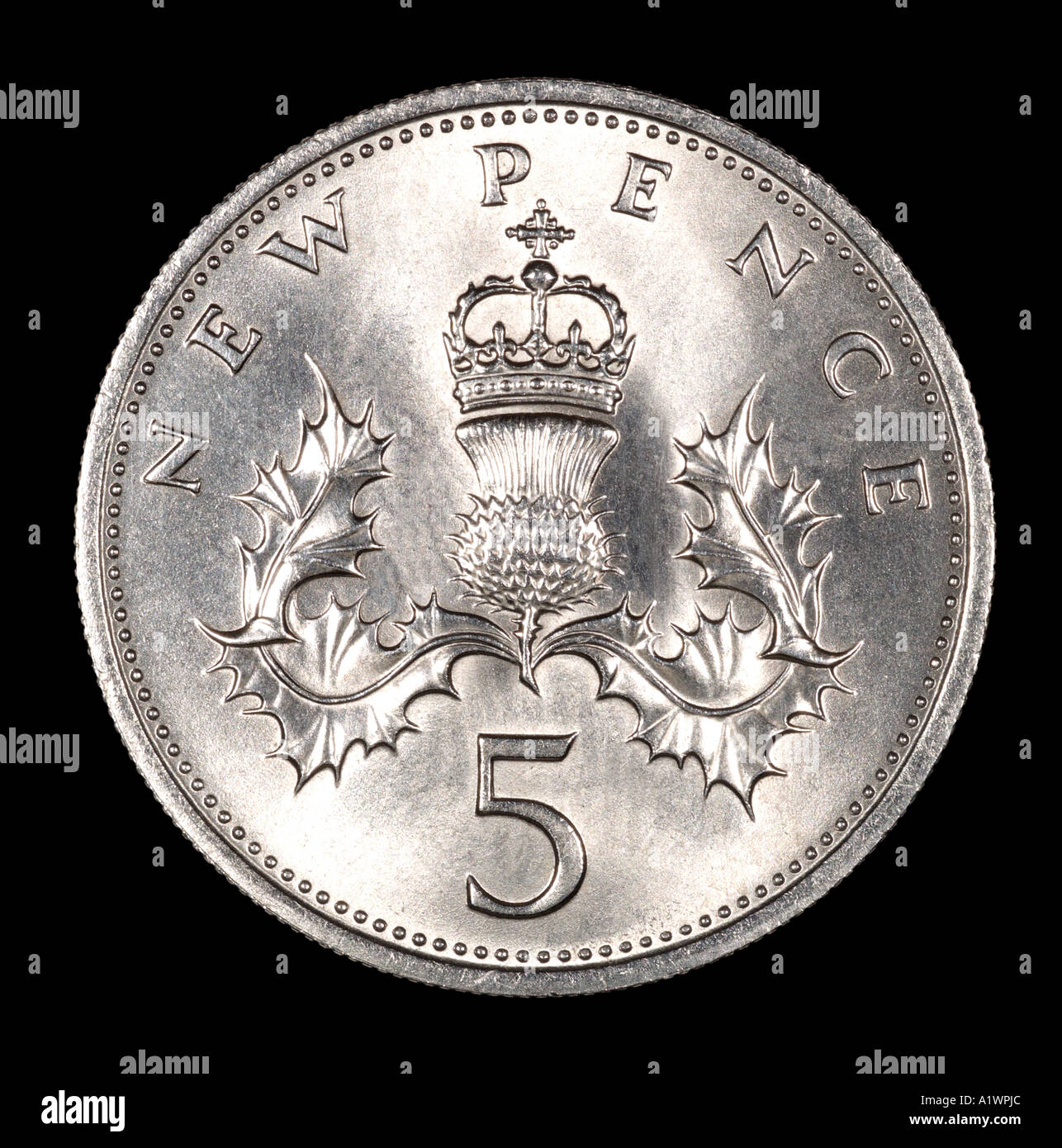 Queen Elizabeth 2 II Reg Regina Decimal 5 five new pence P face right young profile crown thistle holly silver bright Stock Photo
