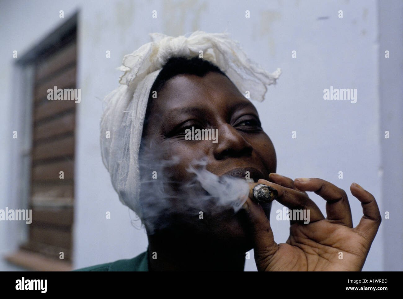 Lola Slim Cigarette Havana Night