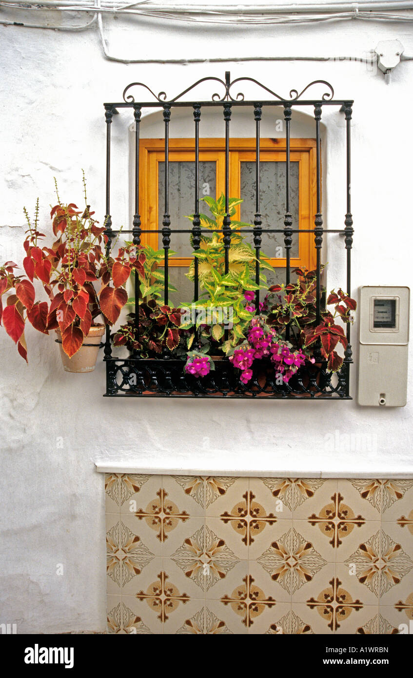 Wrought iron grille and window garden in a narrow lane in Competa Andalusia Spain Europe EU Stock Photo