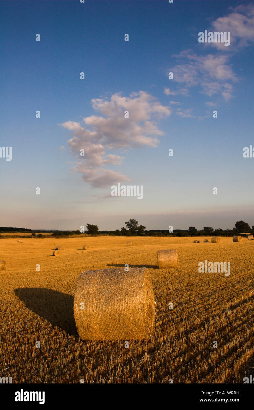 Round Bales North Yorkshire England UK Stock Photo - Alamy