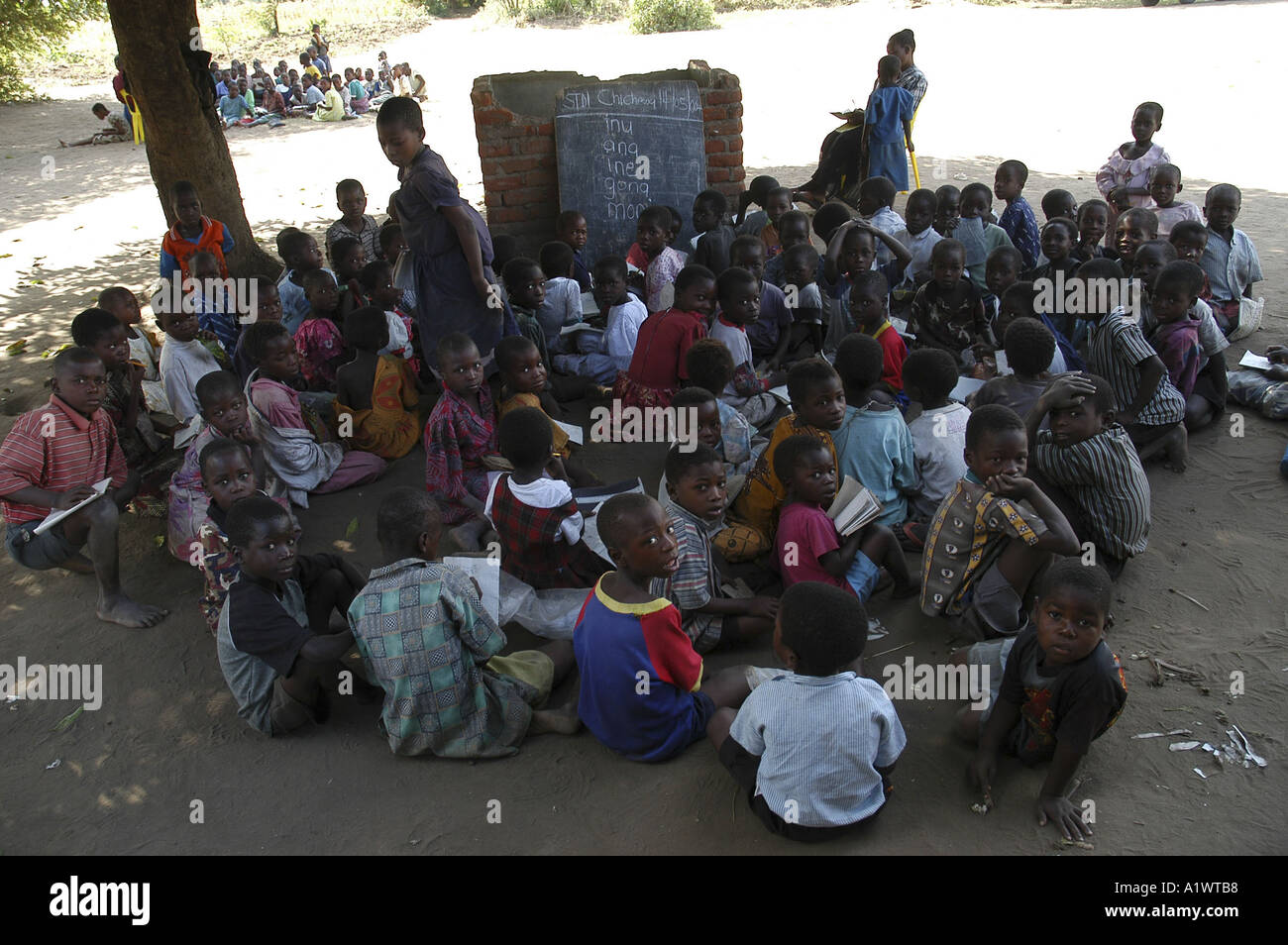 Young children in Primary school near Salima.Outside classroom with children sitting on the ground under a tree Stock Photo