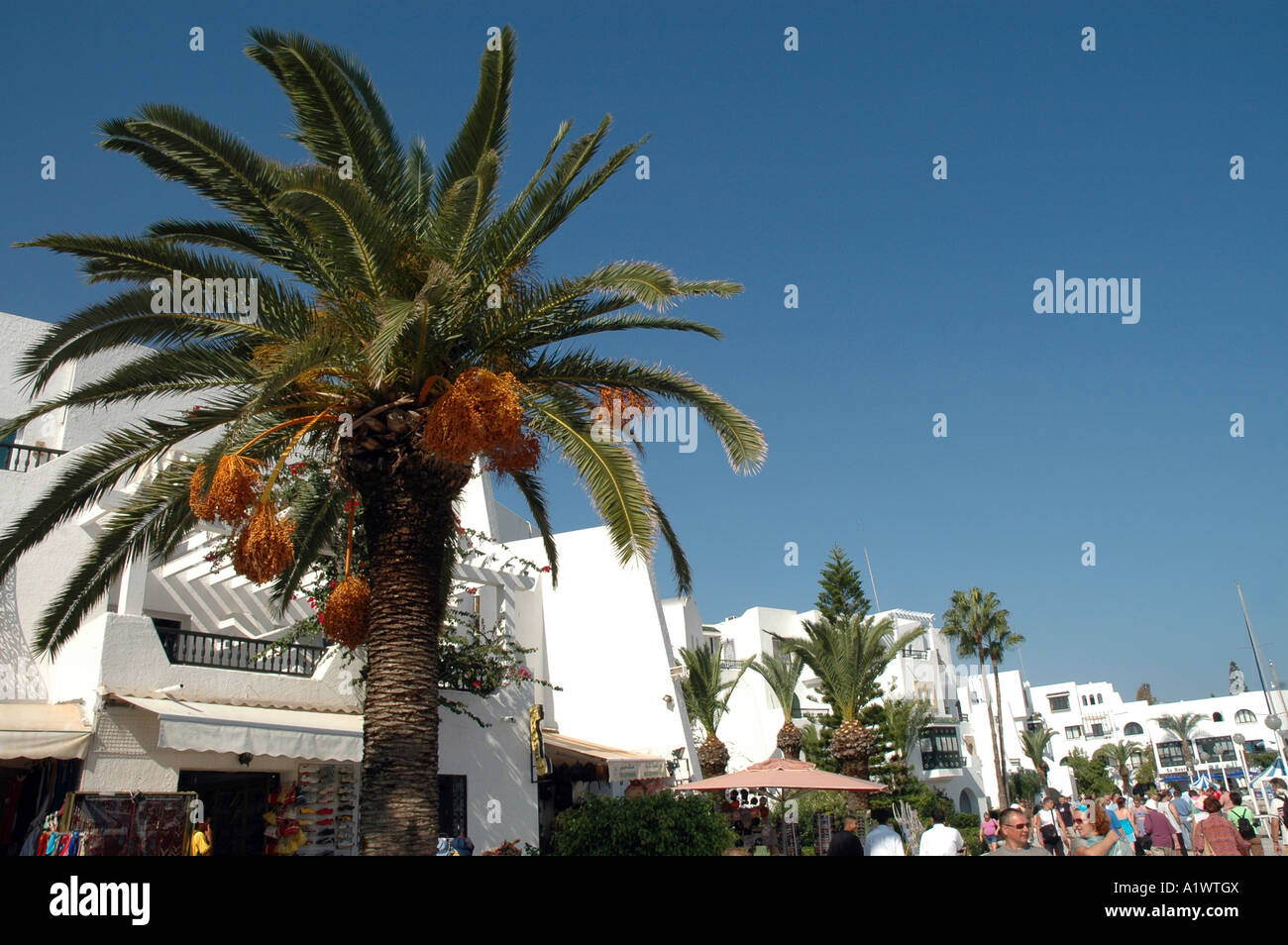 Houses in Port El Kantaoui marina in Tunisia Stock Photo Alamy