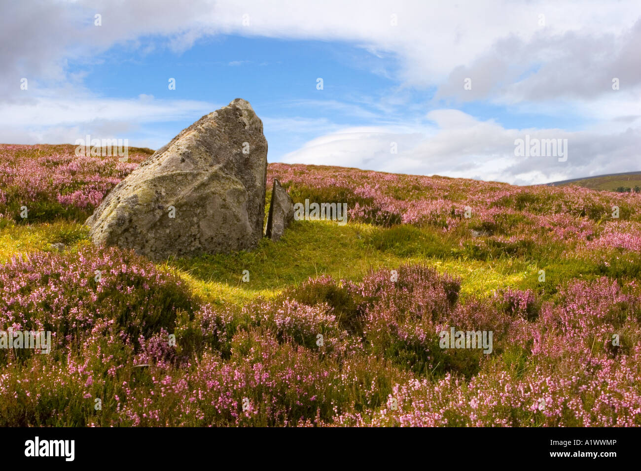 Highland Rocks Glacial erratic rock, glacially deposited boulders, rocks; Scottish ...