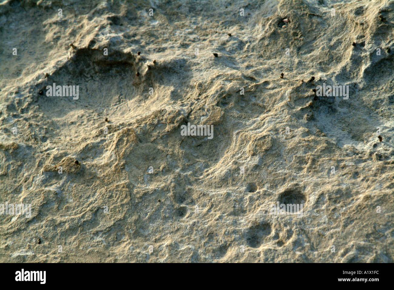 Sand Textured Rocks Sand and rock texture hi-res stock photography and images - Alamy