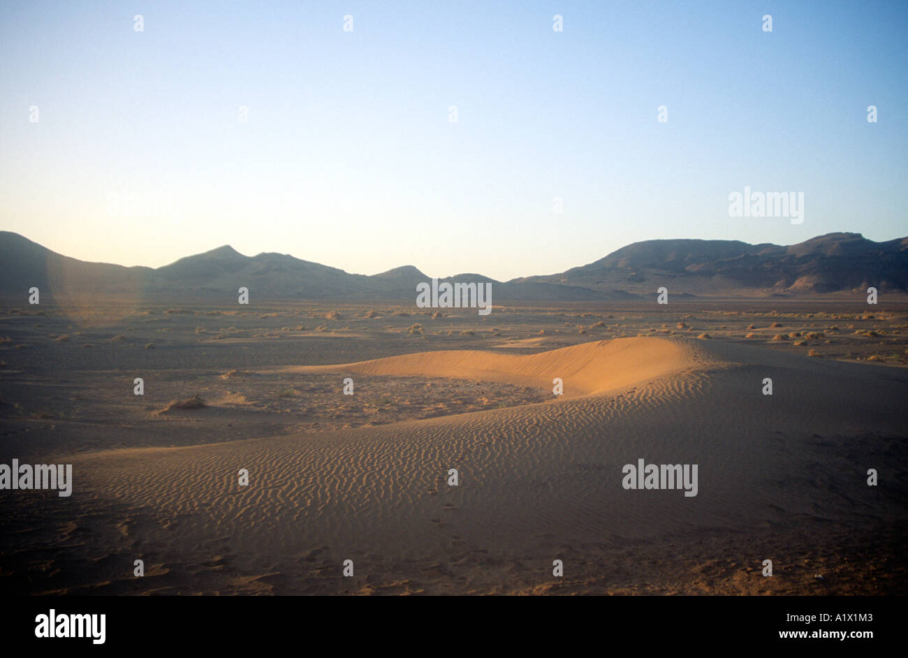 Sahara desert near Zagora Morocco north Africa Stock Photo - Alamy