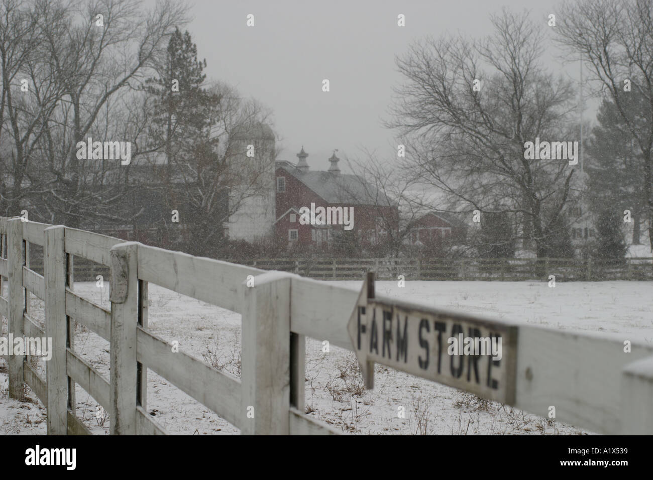 Flatbrook Farm Sussex County New Jersey in a Snowstorm Stock Photo
