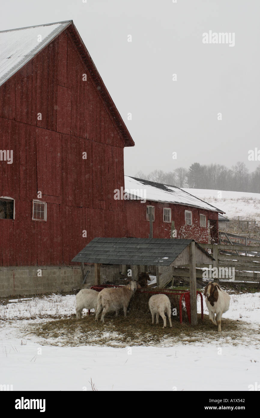 Flatbrook Farm Sussex County New Jersey in a Snowstorm Stock Photo