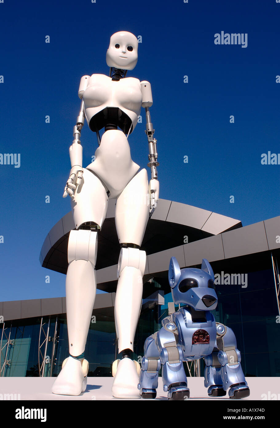 A female humanoid robot walks a robotic dog Stock Photo