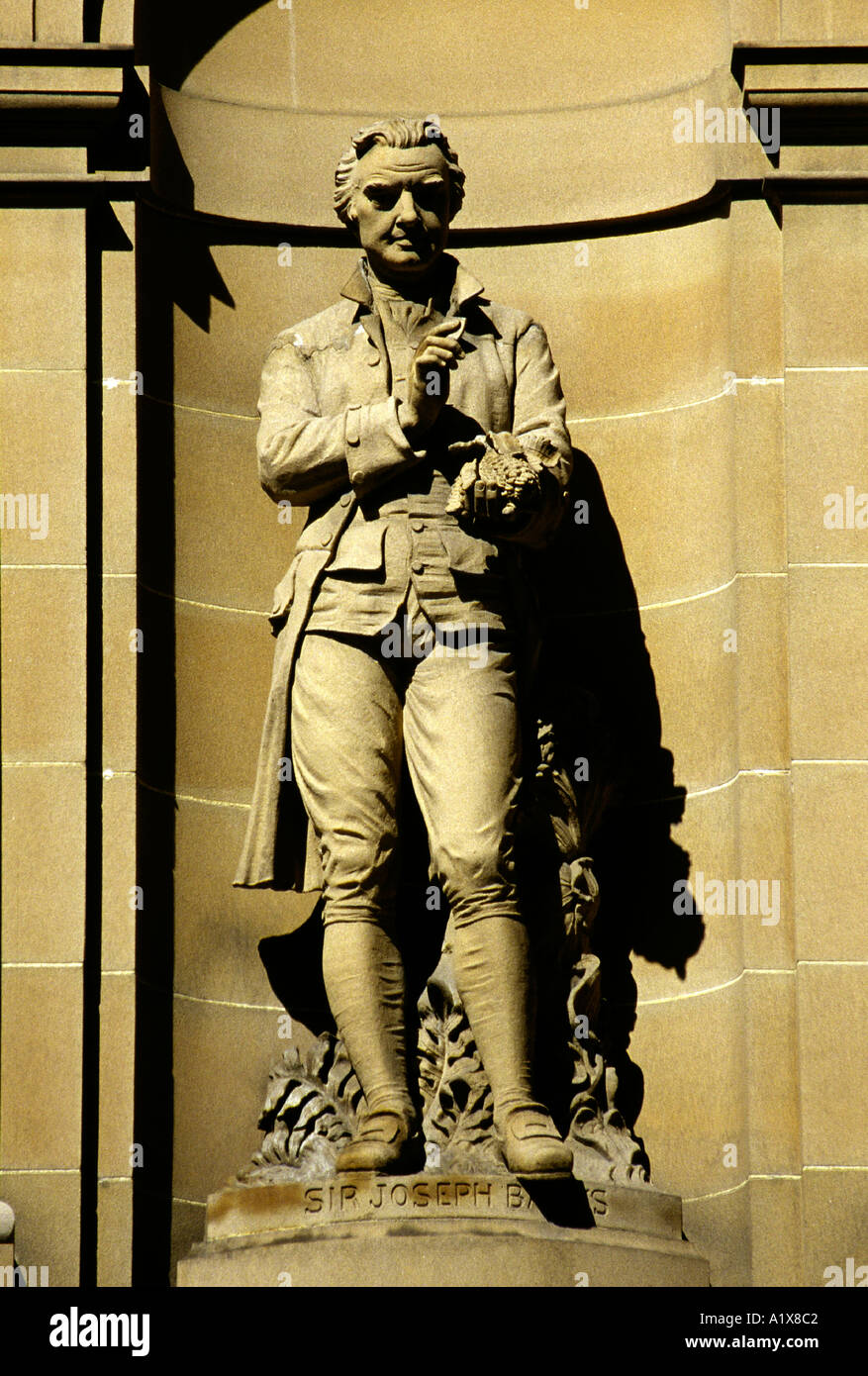Sir Joseph Banks Stock Photo Alamy