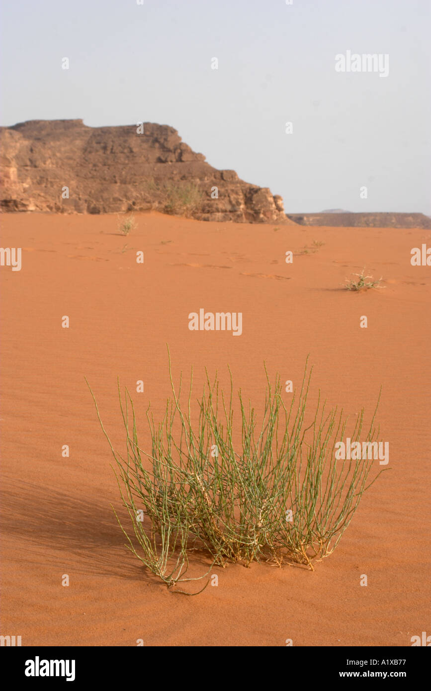 The Desert of Sin at Sarabit el Kadim Sinai Peninsula Egypt Stock Photo
