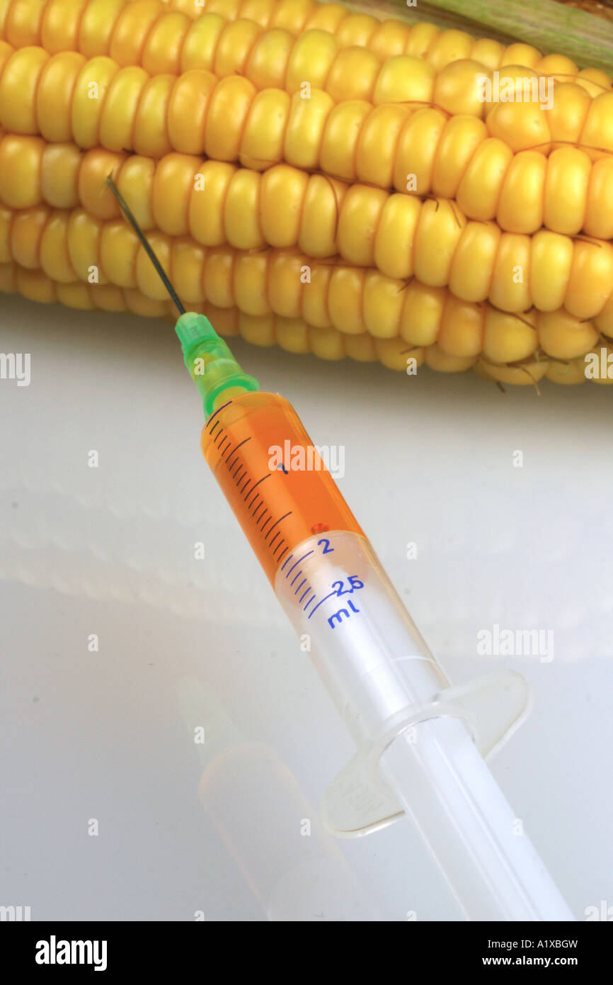 Croquage Injection a corncob and an injection Stock Photo - Alamy