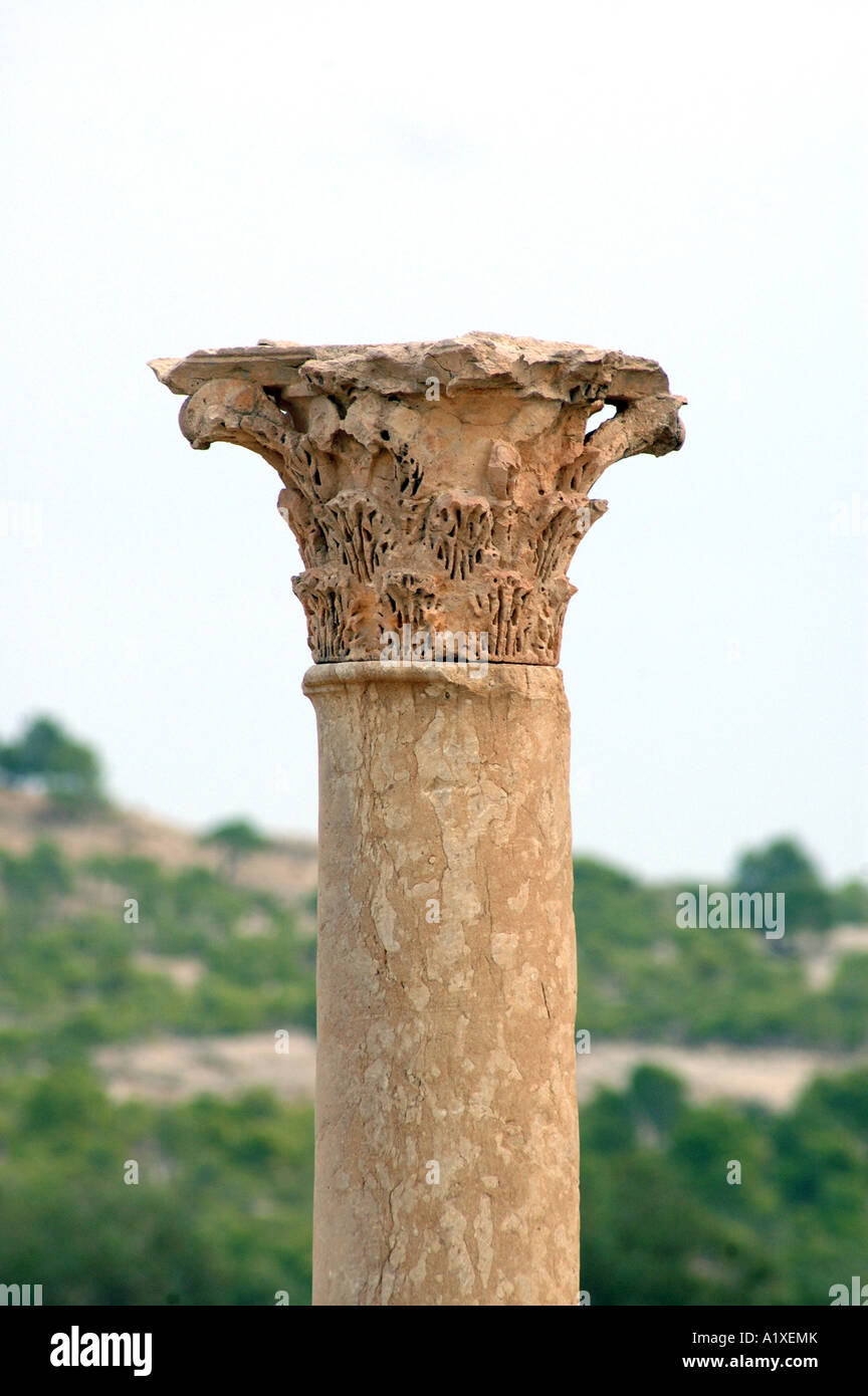 Roman corinthian column in ancient Sufetula, today known as Sbeitla, Tunisia Stock Photo