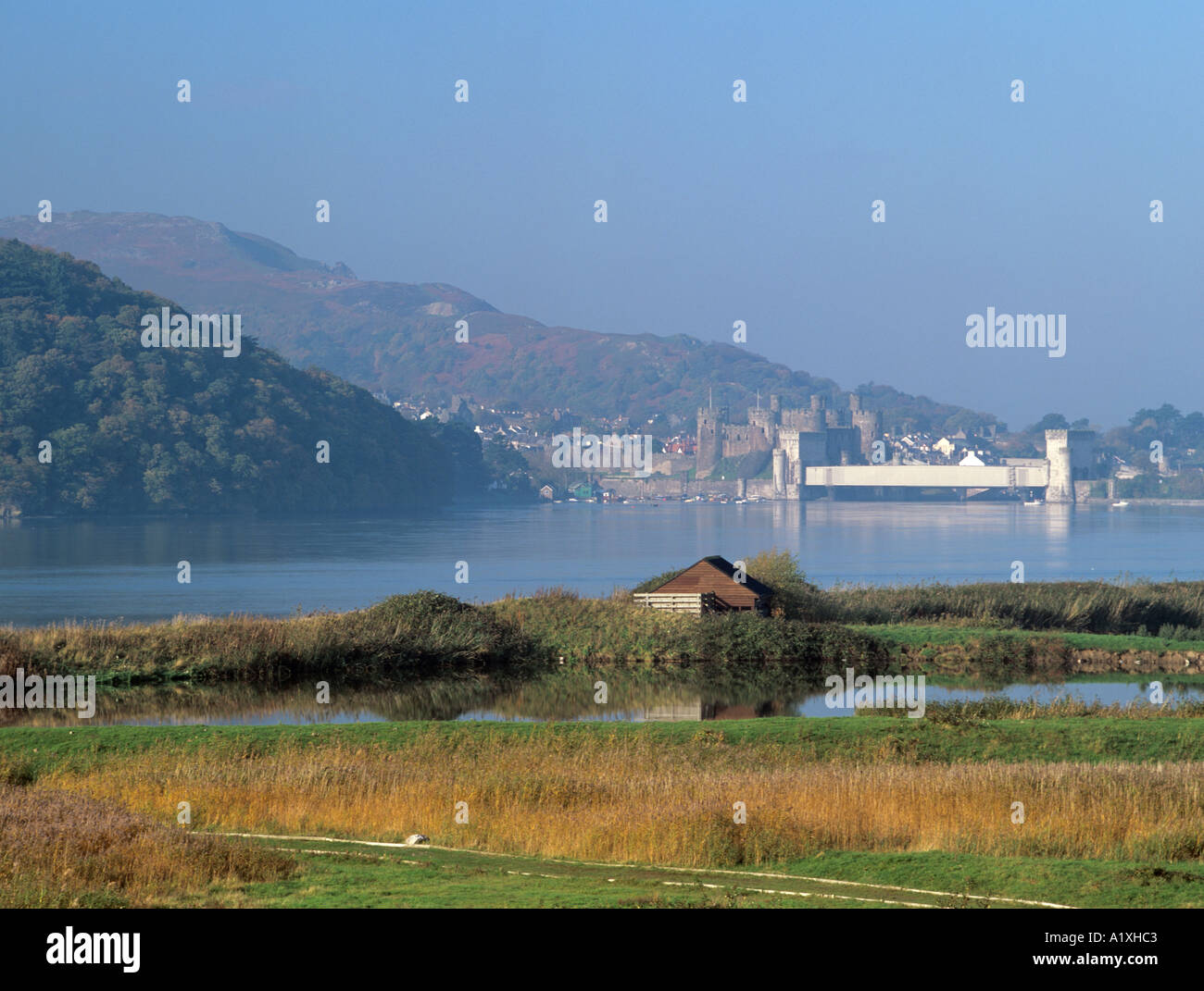 Conwy River estuary and RSPB nature reserve with castle beyond Conwy North Wales UK Britain Stock Photo
