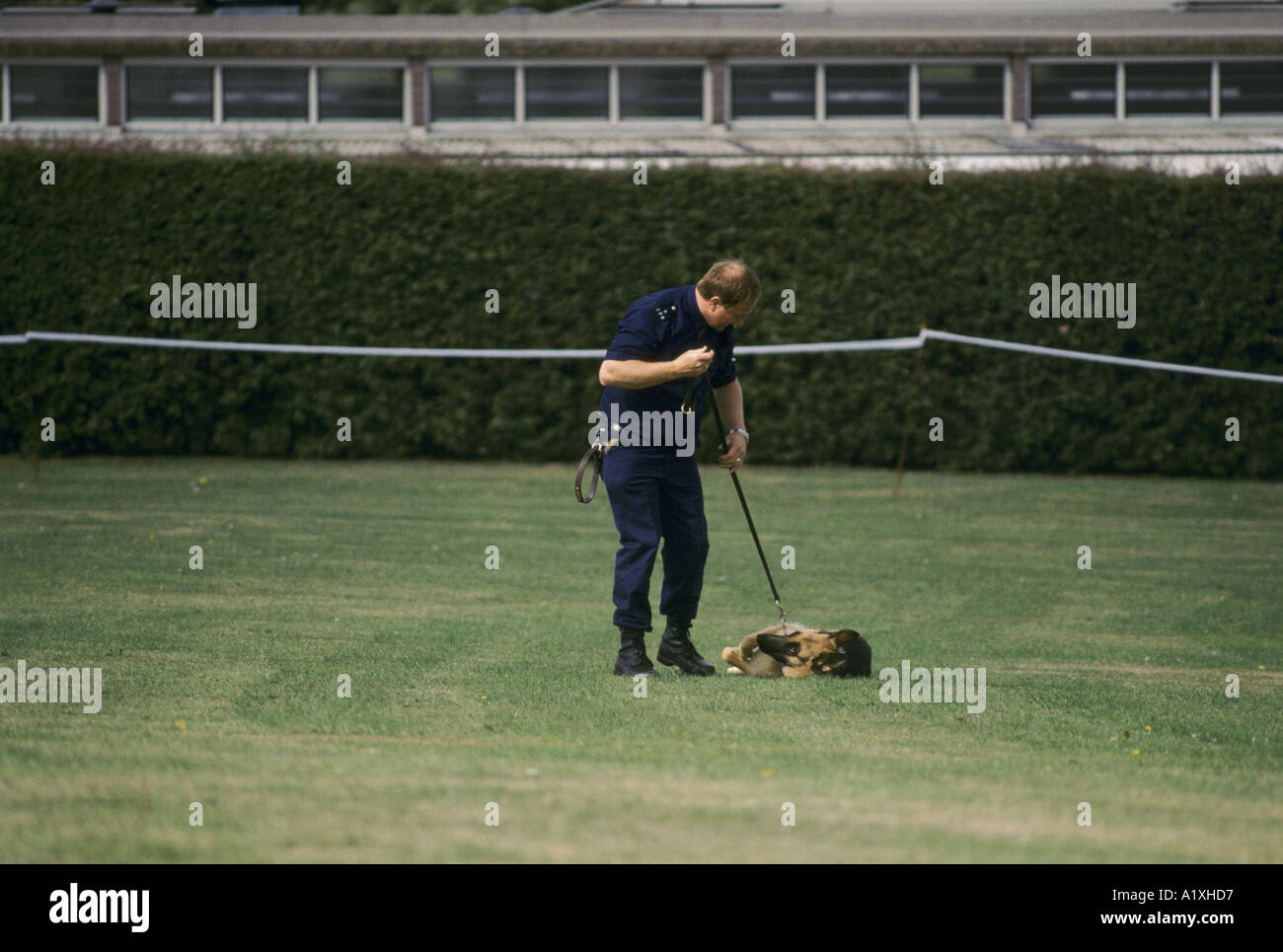 police-dog-training-school-in-keston-kent-england-stock-photo-alamy