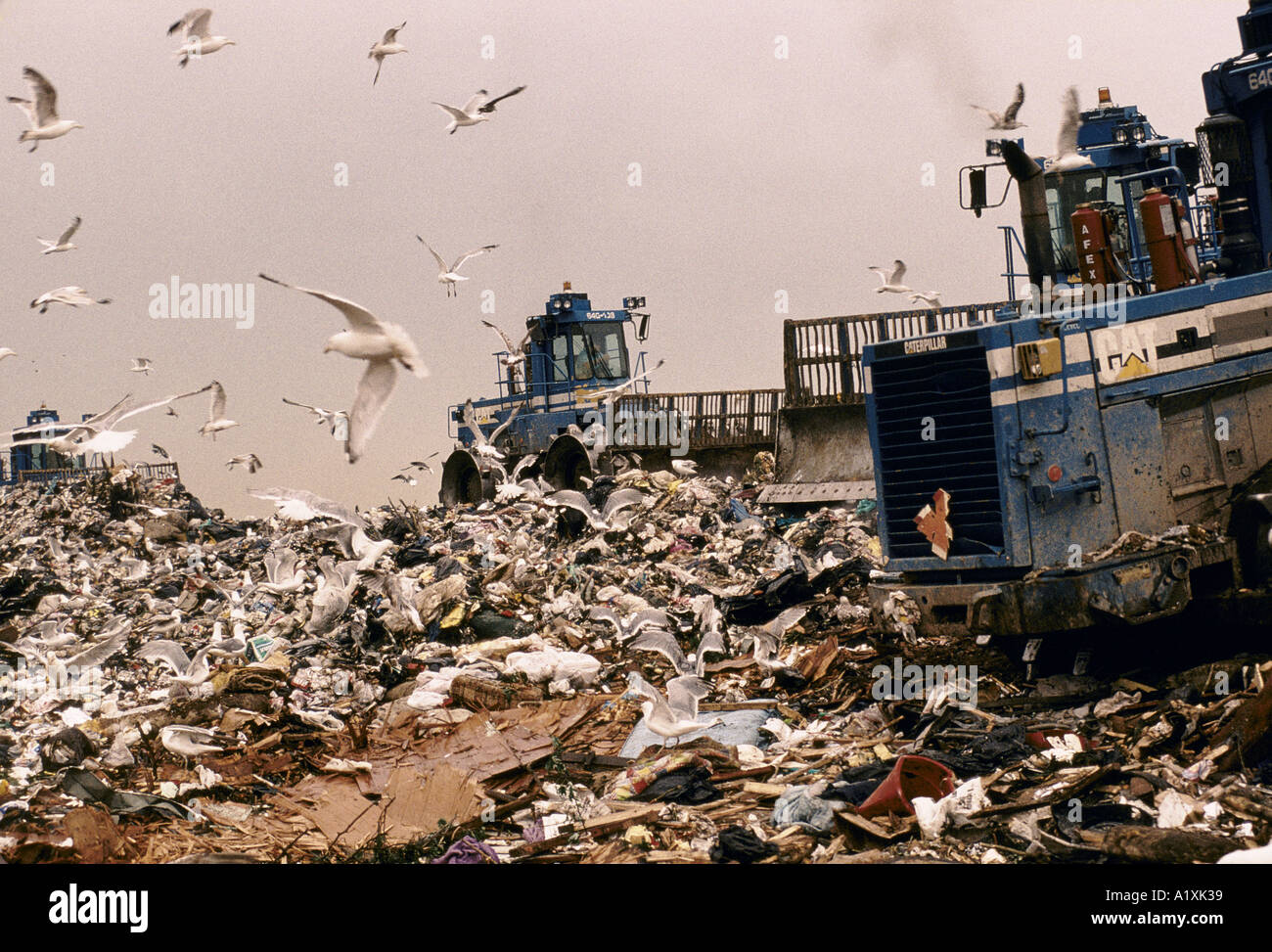 Freshkills Landfill site, Staten Island, New York City, USA. Stock Photo