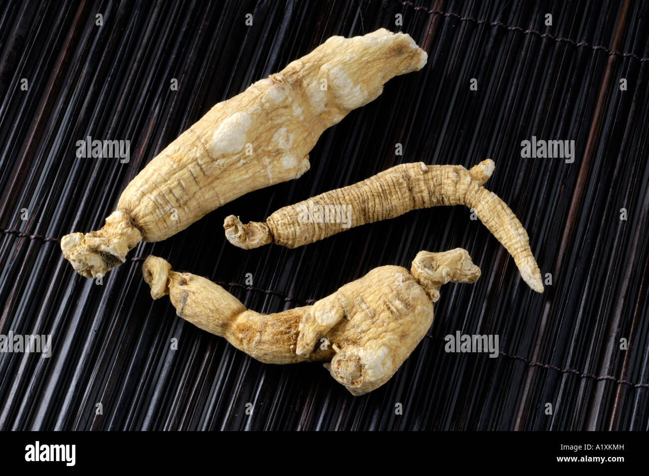 Asian Ginseng root dried Panax ginseng Echte Ginsengwurzel Stock Photo Alamy