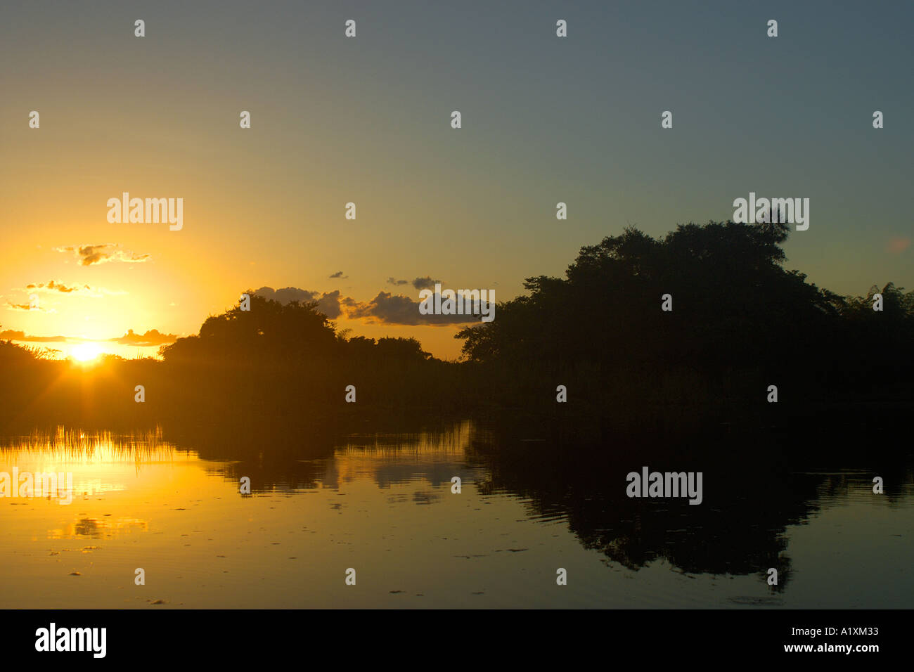 Sunset at southern Pantanal Mato Grosso do Sul Brazil Stock Photo