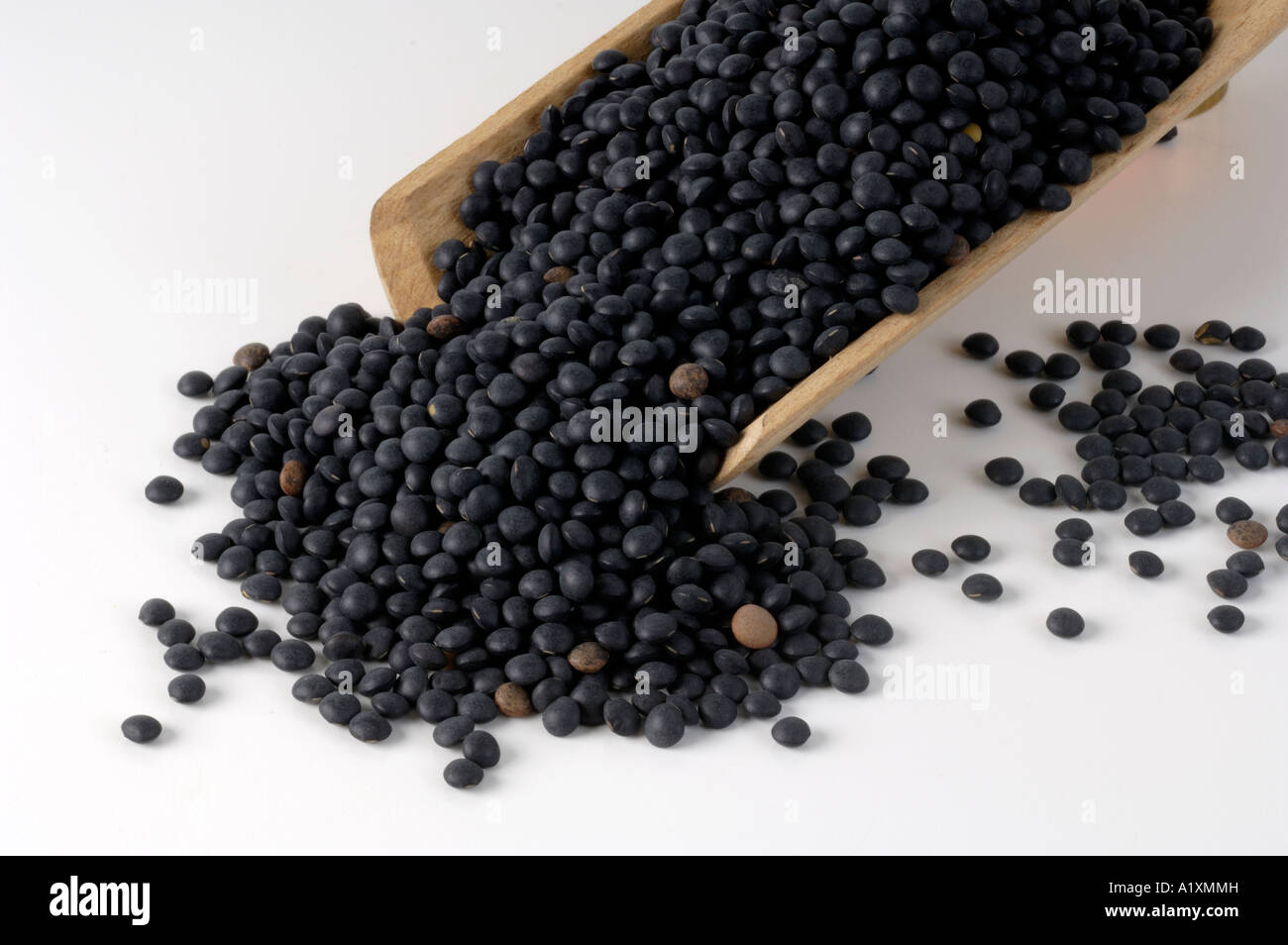 Beluga Lentils Lens esculenta Beluga Linsen Beluga Linsen Stock Photo