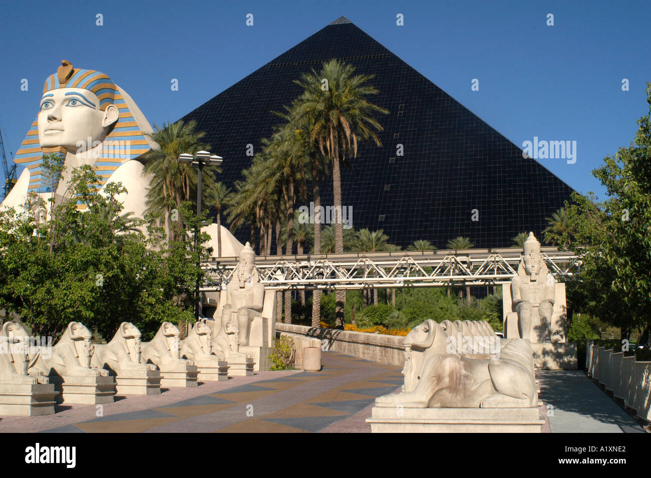 The pyramid sphinx and statue palm tree lined path at the Luxor Hotel Casino based on an Ancient Egyptian theme Stock Photo