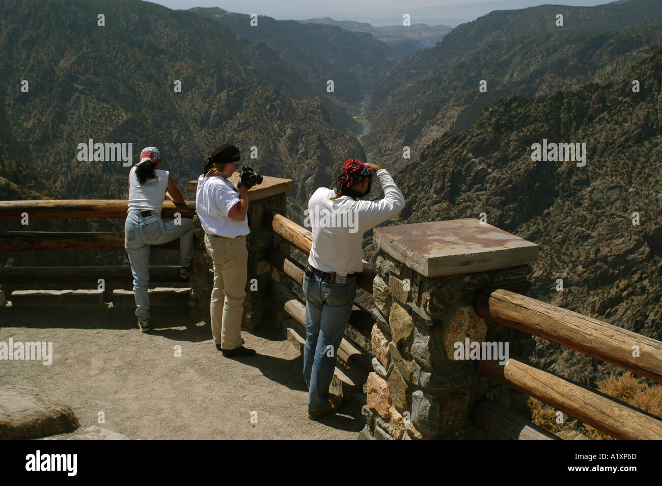 Canyon overlook. Black Canyon of the Gunnison River, Colorado USA Stock Photo