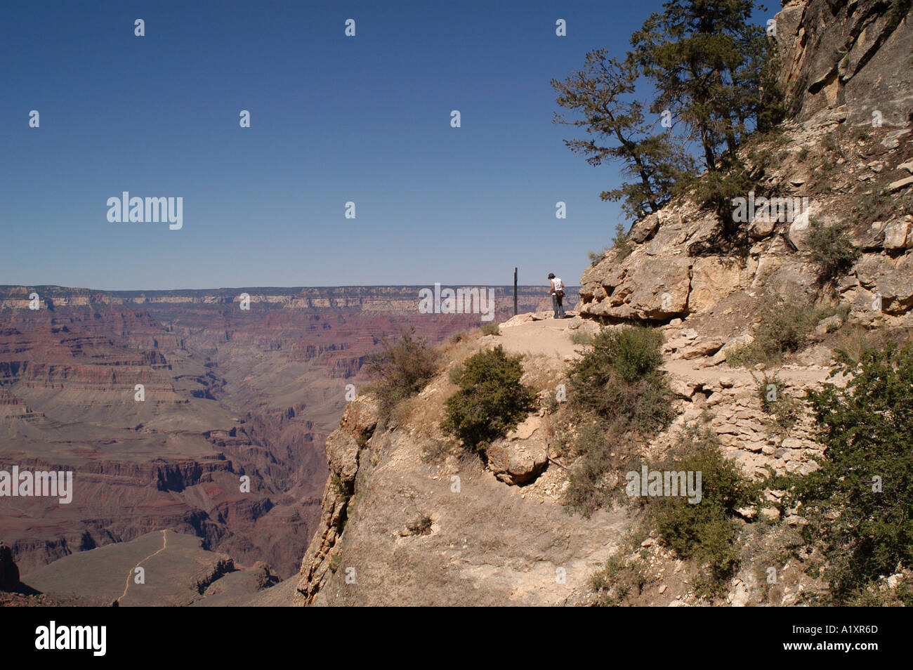 Tourists walking up a precipice the grand canyon, Arizona USA. Stock Photo