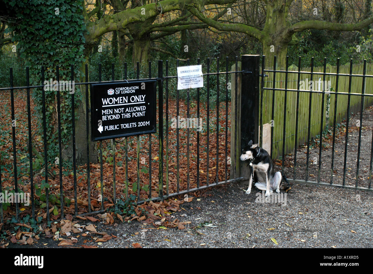 Women only sign on a fence in front of public toilets a dog tied to railings next to the sign Hampstead Heath Stock Photo