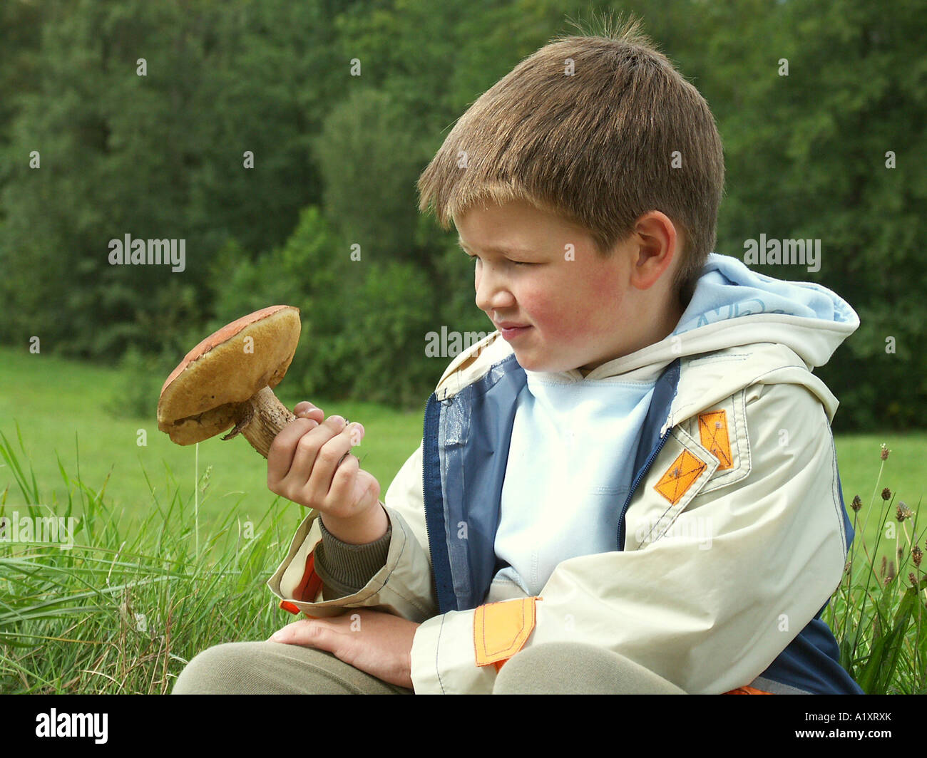 boy with a mushroom Stock Photo