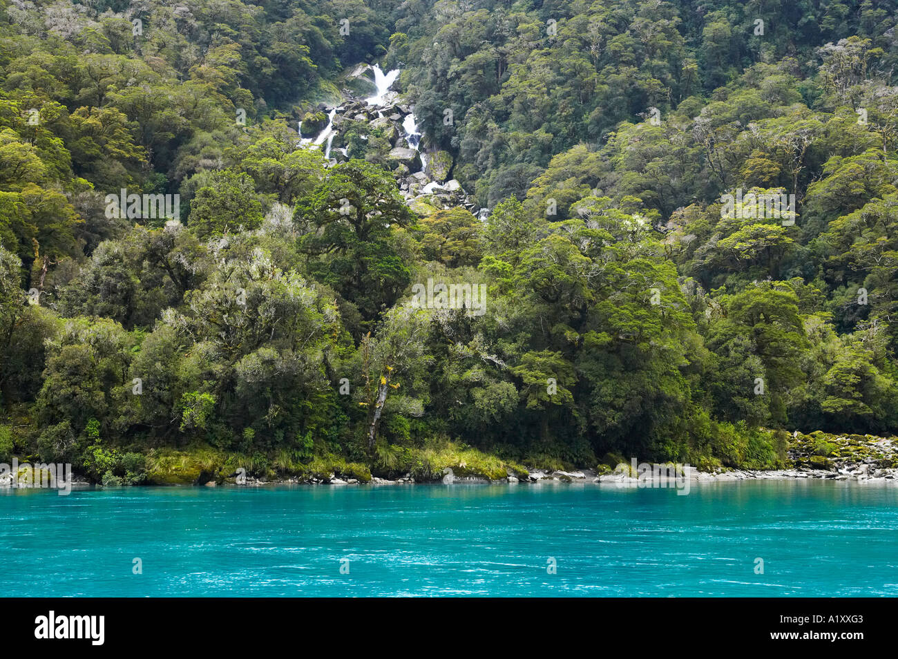 Haast River and Roaring Billy Falls West Coast South Island New Zealand ...