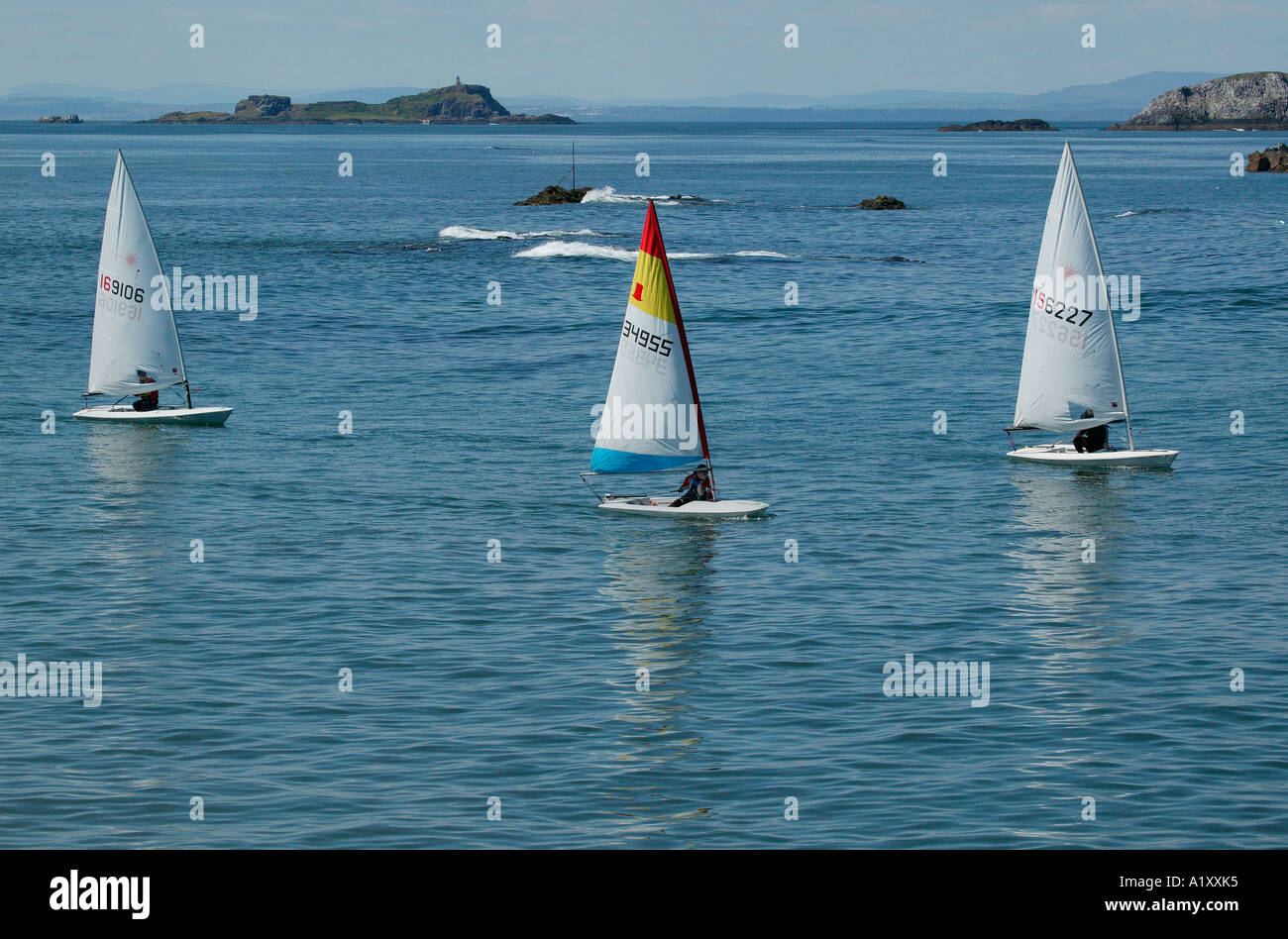 Single handed sailing dinghies sailing in the Forth Estuary, North Berwick, Scotland, UK G B, Europe, Stock Photo