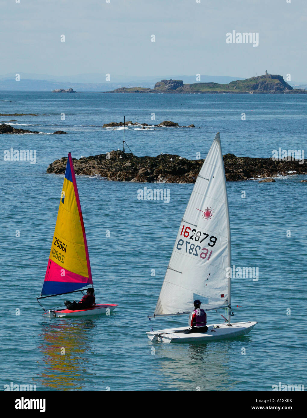 Single handed sailing dinghies sailing in the Forth Estuary, North Berwick, Scotland, UK G B, Europe, Stock Photo