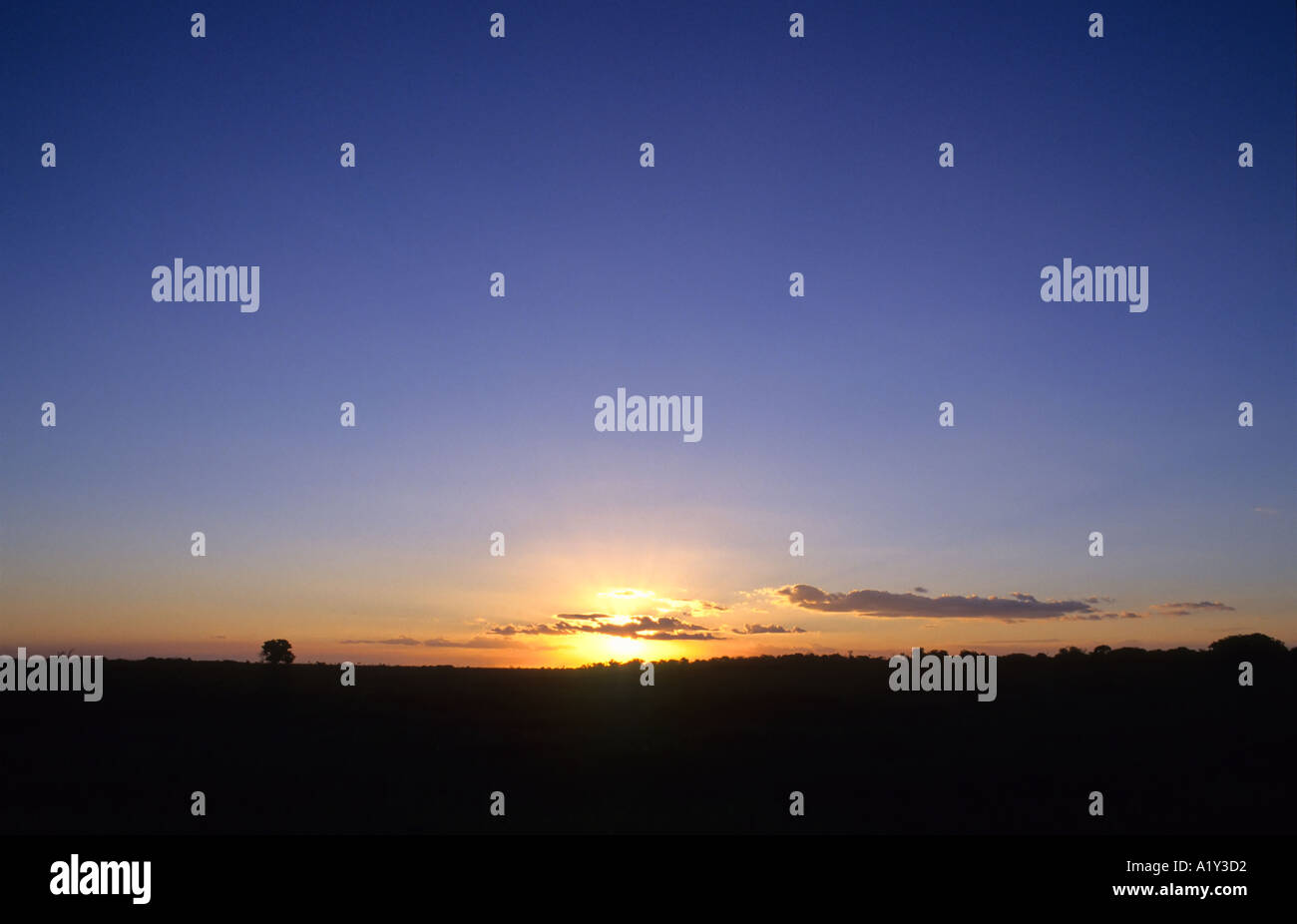 Sunset over Los Llanos near Matecal, Venezuela Stock Photo