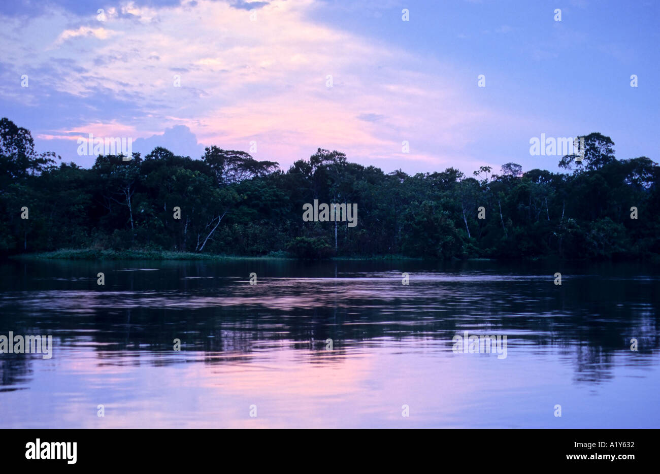 Dawn over the Amazon rainforest, Brazil Stock Photo - Alamy